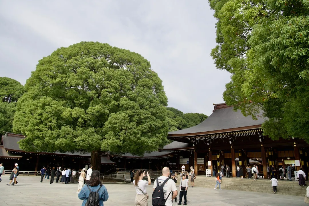 浅草寺 参拝マナー｜浅草寺の参拝マナーを知って、初めての訪問でも迷わず楽しむための旅行ガイド